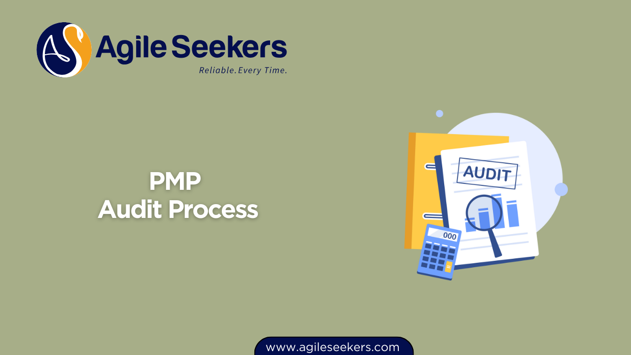 PMP Audit Process