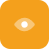 Vision Icon